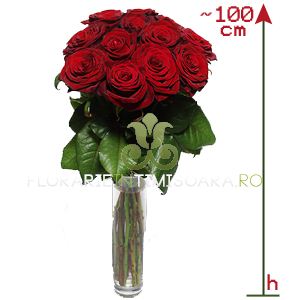 Trandafiri premium 100